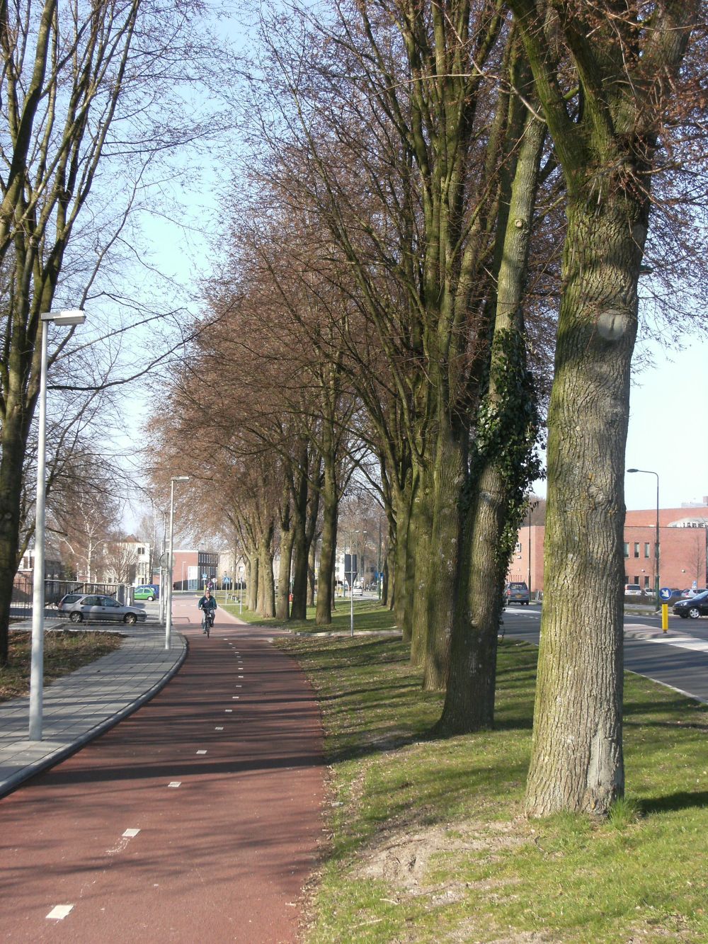Bicycle_lane_Dronten.jpeg