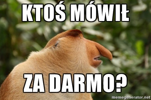 Mem pokazuje małpę nosacza patrzącą w dal z zainteresowaniem. Tekst brzmi: "Ktoś mówił za darmo?".