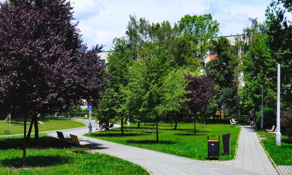 MłynówkaKrólewska-OsiedleBronowiceNowe-BronowiceMałe-POL,_Kraków.jpg