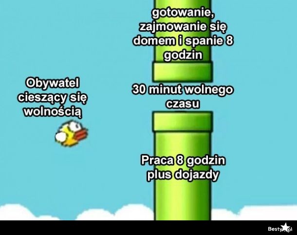 Kadr z gry 2D przedstawia ptaka lecącego w prawą stronę ekranu zbliżającego się do miejsca, gdzie będzie musiał się przecisnąć między dwoma filarami. Filar zawieszony od góry jest podpisany jako "gotowanie, zajmowanie się domem i spanie 8 godzin". Filar od dołu jest podpisany jako "praca 8 godzin plus dojazdy". Przerwa między filarami jest podpisana jako "30 minut wolnego czasu". Ptak jest podpisany jako "obywatel cieszący się wolnością".