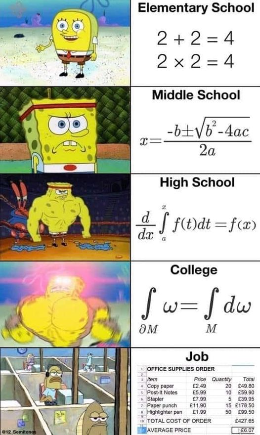 Rozwój matematyka